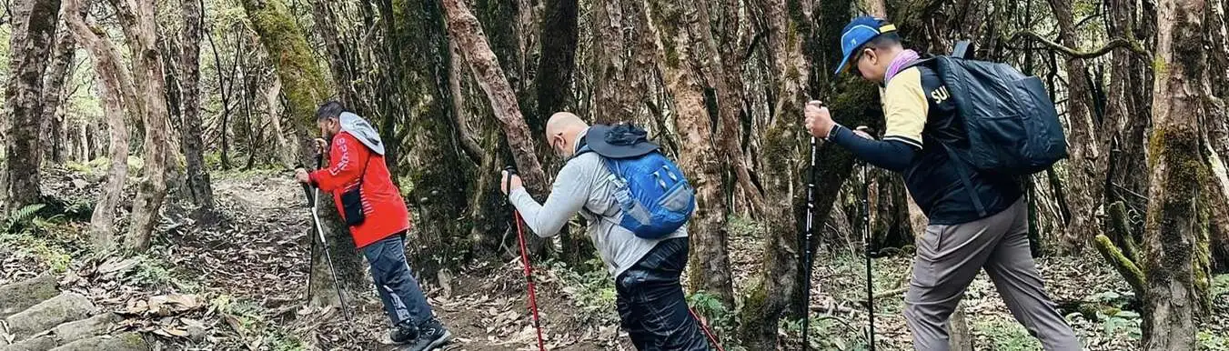 Short Hiking Cover