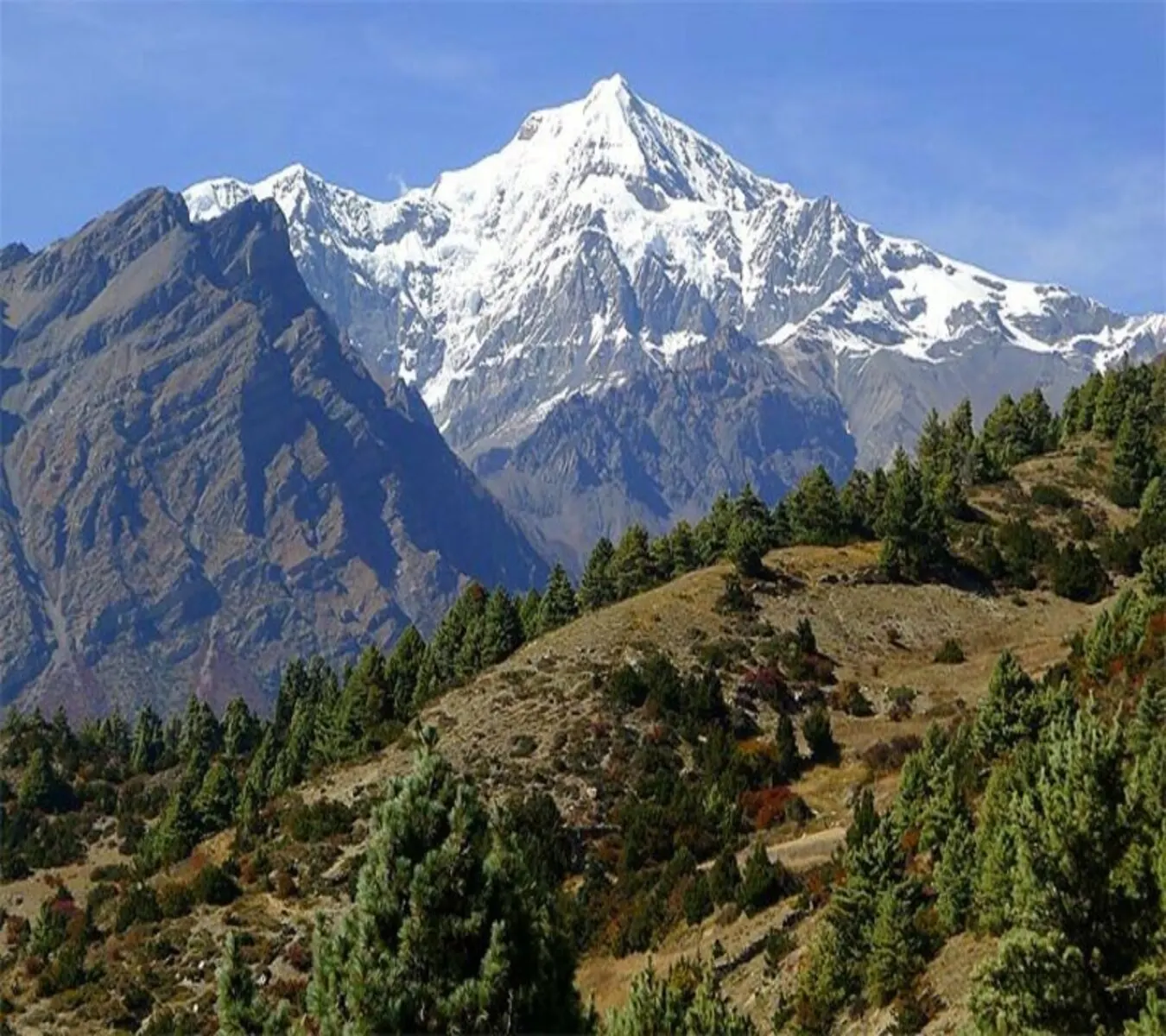 Annapurna Region